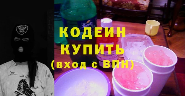 индика Снежинск