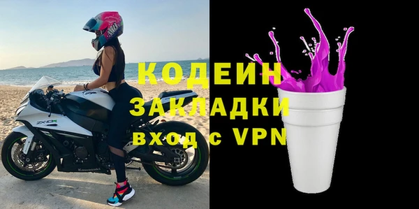 индика Снежинск
