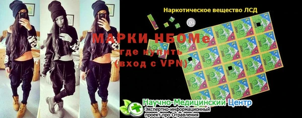 индика Снежинск