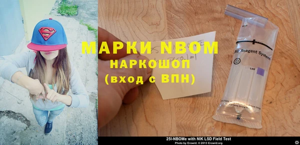 индика Снежинск