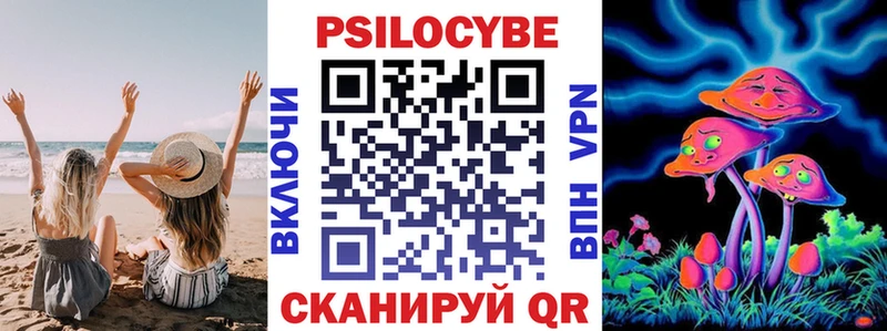 Галлюциногенные грибы Psilocybine cubensis Красково